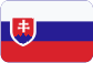 eBay Czech Republic s.r.o. Slovensky